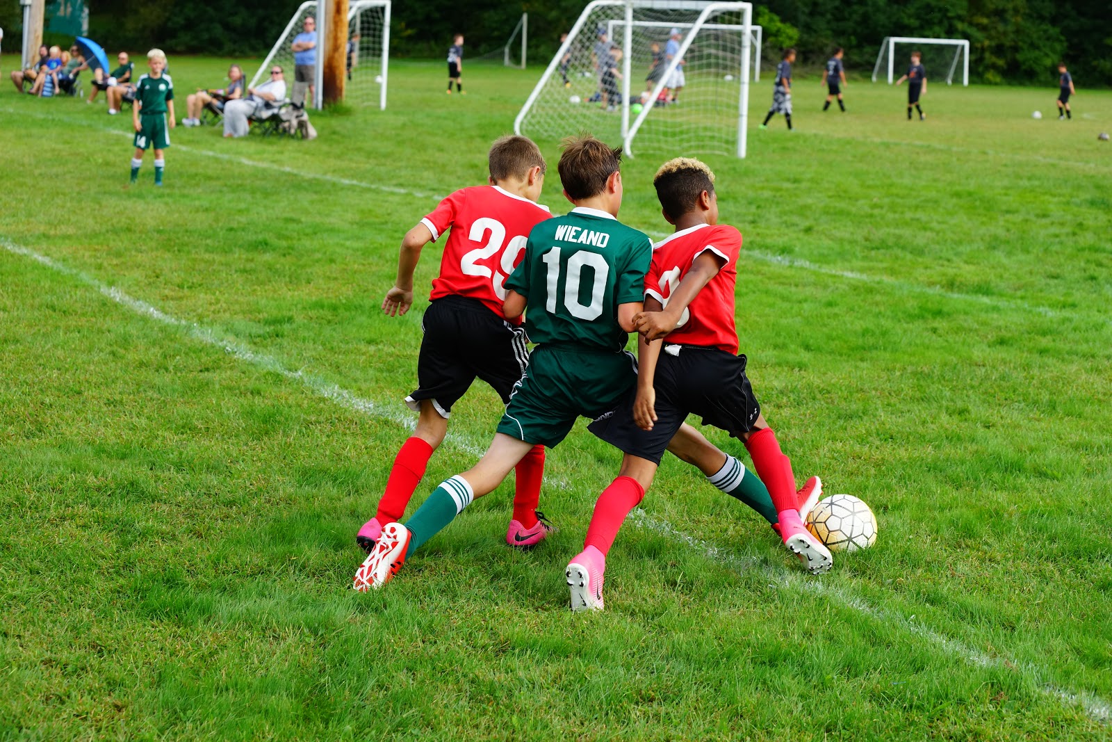 pittsfield township youth soccer